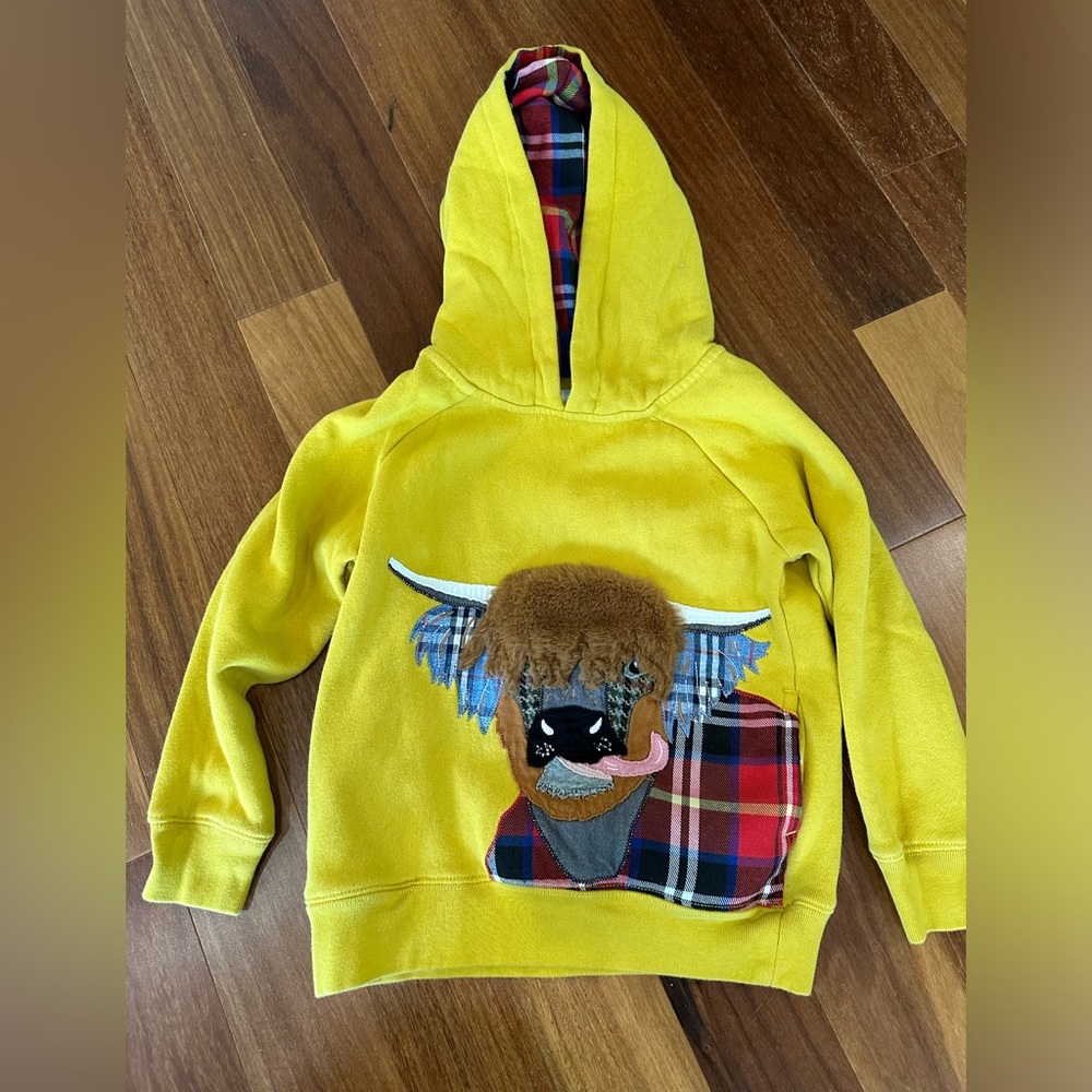 Mini Boden 4Y Hoodie